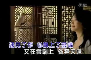 陈瑞-尘埃里的花MTV_标清.flv