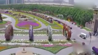 有钱就是任性 迪拜建世界最大花园 耗费4500万株鲜花