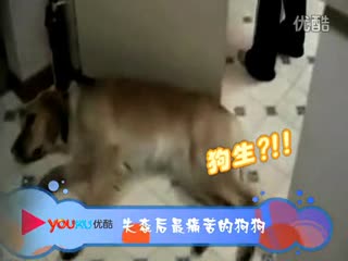 壹品网超网上商城 网购的魅力不同凡响@!!@