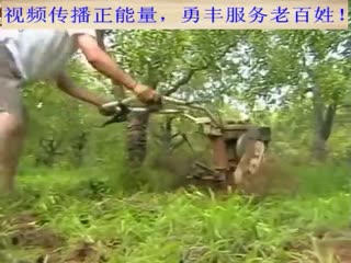 勇丰果园柴油除草机在果园进行除草