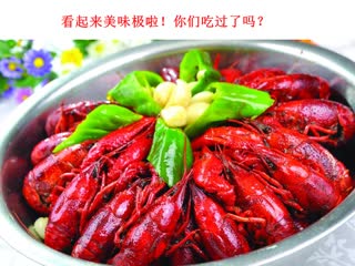 今日打开我的小刚手机，看到了夺命小龙虾的新闻，震惊啊
