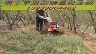勇丰果园除草机