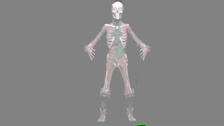 RG_Rig2_01