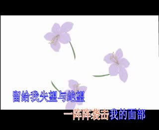 如何带走我的忧伤.mpg