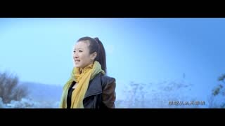 一飞冲天MV
