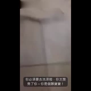 为了不洗澡汪星人跟妈妈吵起来了