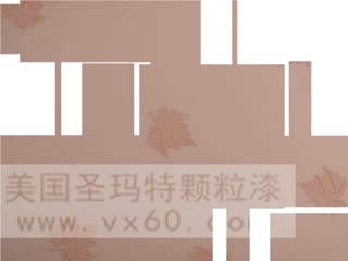 国际品牌 美国圣玛特3D彩粒漆生产厂家招商