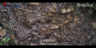 合生元精选诺曼底奶源的初衷