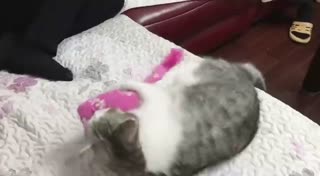 小腿狂蹬的样子好萌