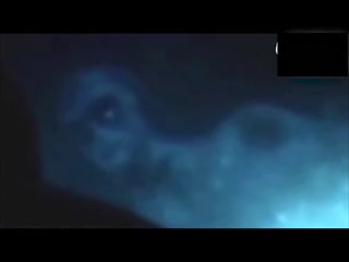 北冰洋发现疑似外星人生物