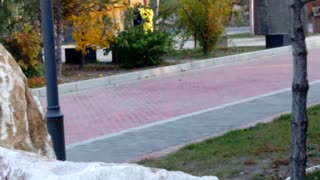 VID_20141010_070438