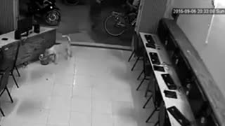 男子想踹狗自己滑倒了，恶有恶报啊