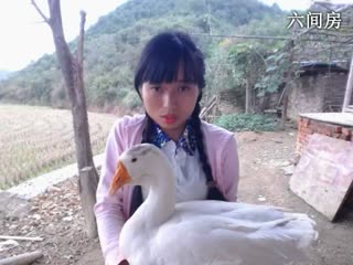 六间房美女主播东方不败哪秀唱视频