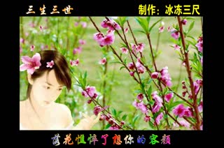 三生三世