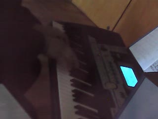 掀起你的盖头来.wmv