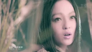 张韶涵《我的眼泪》MV完整版_640x360_2.00M_h.264.flv