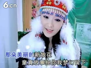 冰雪 - 小小新娘花