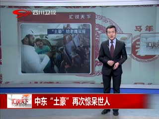 中东土豪为12只鹰买机票 网友调侃人不如鹰!