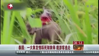 泰国：一大象发情踩死驯象师 载游客逃走