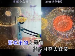 飞天--紫薇--演唱