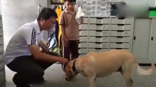 狗狗老师