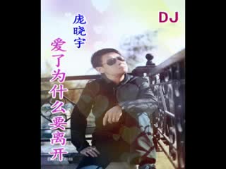 庞晓宇-爱了为什么要离开DJ