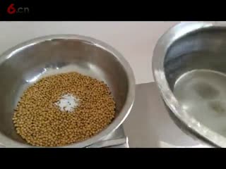 豆花和豆腐脑，豆腐花的做法和配方