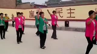 蔡留广场舞 不要爱上哥 东方健 高清