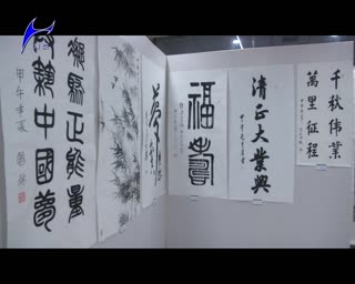 张凡凡第十一届清新文化研讨会暨书画展海淀台