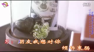 网络迷情