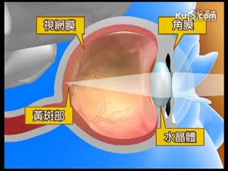 惠氏 一号店 惠氏奶粉促进宝宝营养吸收