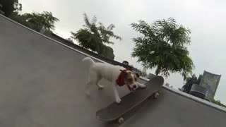 Skateboarding DASH