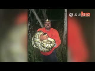 佛罗里达捕蛇达人徒手抓巨蟒