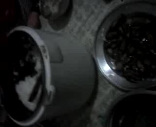VID_20131014_181003
