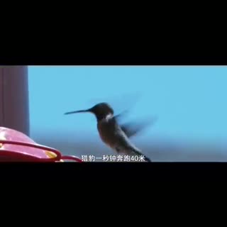 这就是你的理由吗？