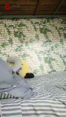 房间号729580-20170511082212008