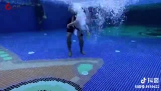 自信跳水，游进抓物，蓝旗滨江中心明星宝宝大米和小米