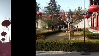 -付婉凝- 全球后援会2014春节《伏羲庙》游记（饭制终始版）