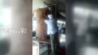 头回见！这么粗！的烤肉·晨星成长计划