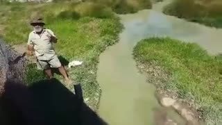 震惊了！牛人竟然可以骑在鳄鱼背上让鳄鱼驮着走